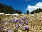 Anello sul Monte Scanapà, balcone panoramico verso la Regina delle Orobie, il 23 aprile 2014 - FOTOGALLERY